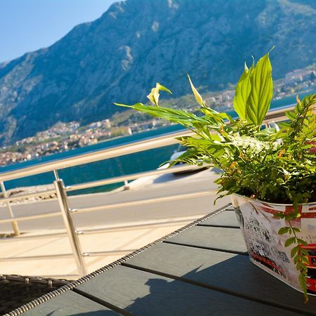 Apartments Jovanovic Kotor Rom bilde