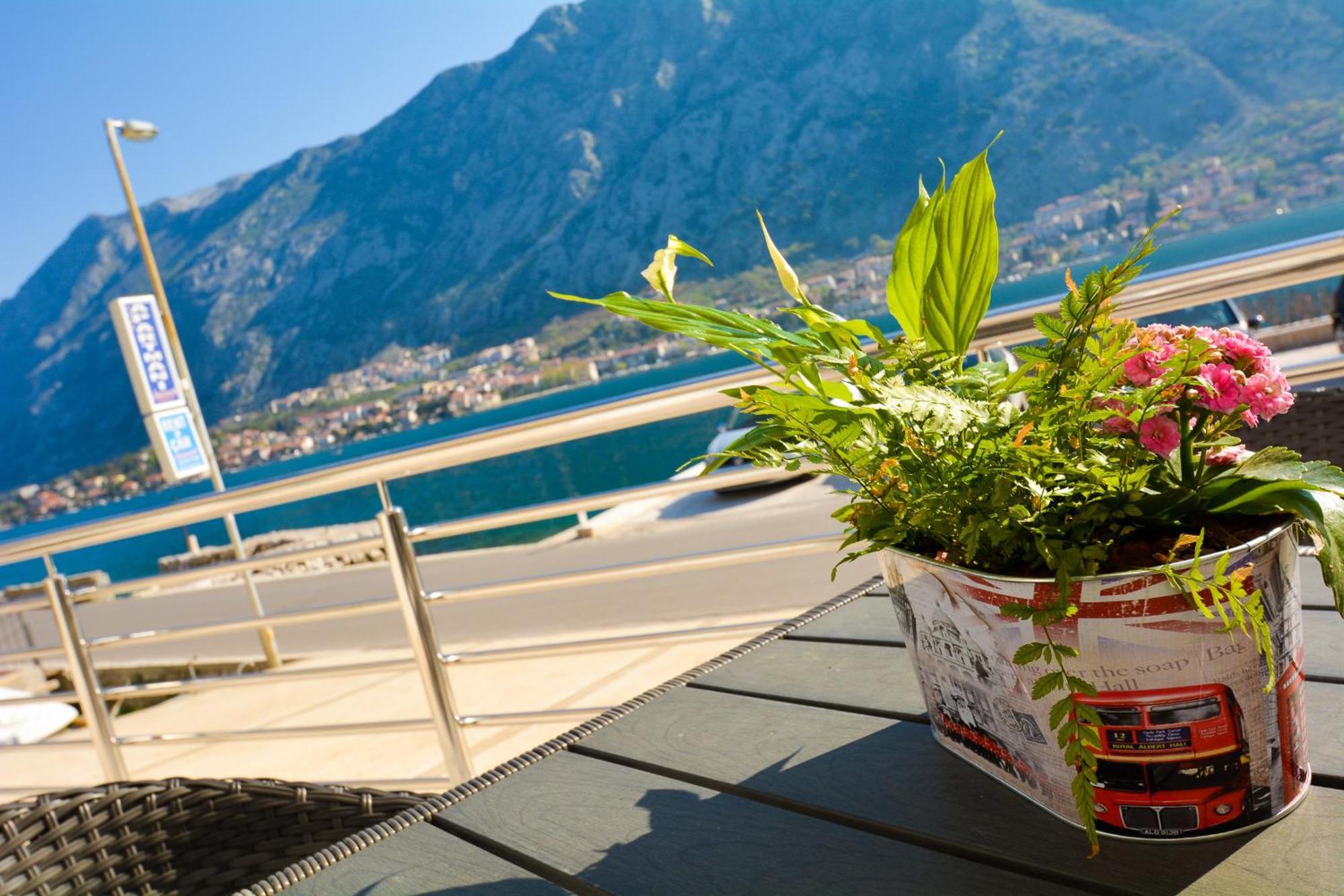 Apartments Jovanovic Kotor Rom bilde